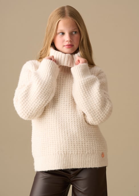 Maddie Chunky Rollneck Jumper - Image 2
