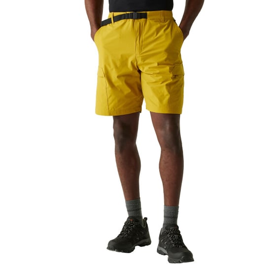 Regatta Mens Mallen Shorts (Senap) - Image 4