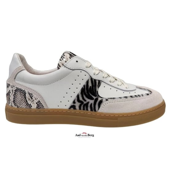 Floris van Bommel Damesschoenen sneakers - Image 1