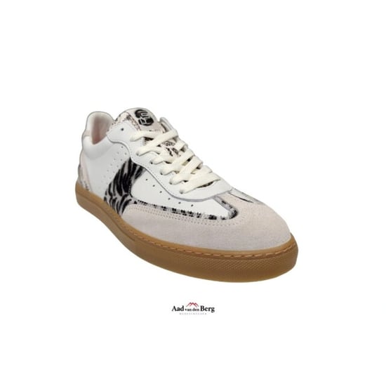 Floris van Bommel Damesschoenen sneakers - Image 3