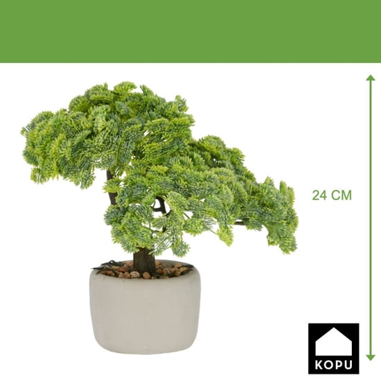 Kopu ® set van 2 bonsai boompjes sedum multiceps 24 cm grijze pot - Image 3