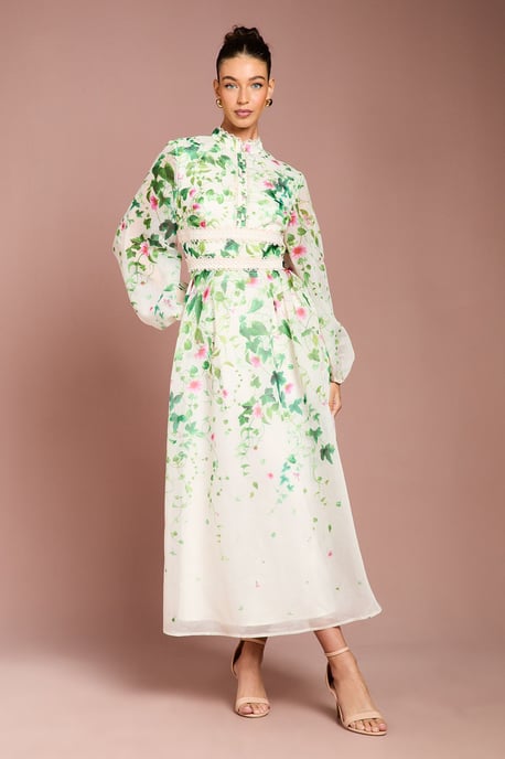 Long Sleeve Placement Print Organza Midi Dress - Image 1