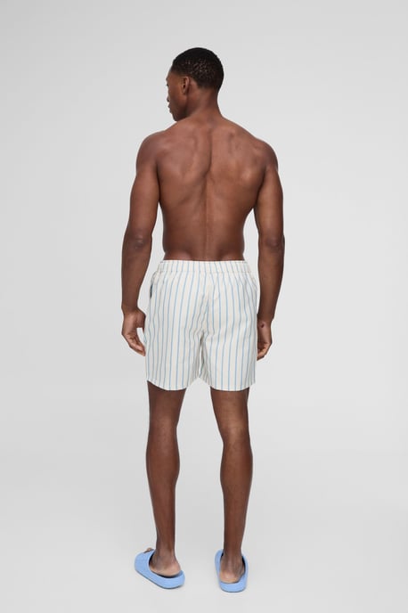 Mid Length Stripe Swim Short - Image 2