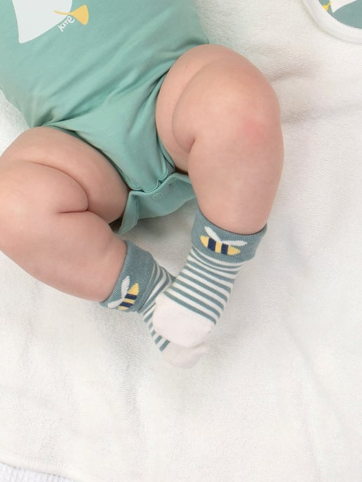 Kite Clothing Koala Time Socks - Image 3