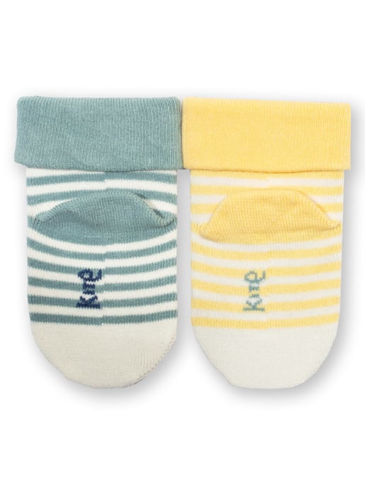 Kite Clothing Koala Time Socks - Image 4