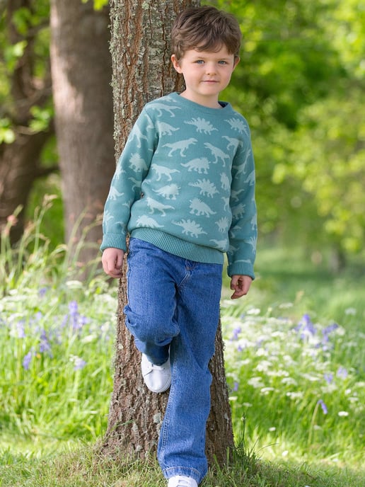 Kite Clothing Dino Dudes Jumper - Image 4