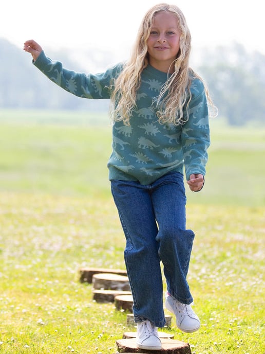 Kite Clothing Dino Dudes Jumper - Image 5