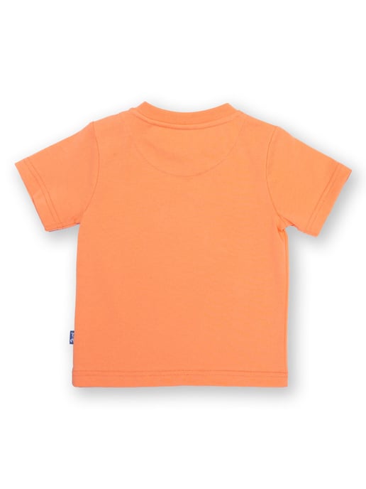 Kite Clothing Sailor Snail T-Shirt - Image 4
