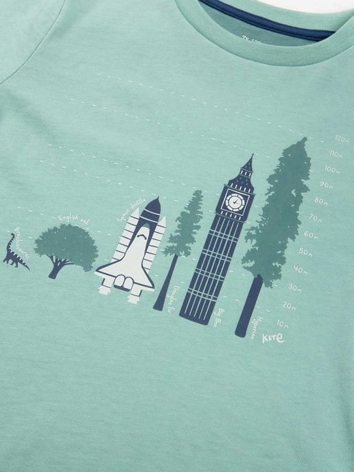 Kite Clothing Tall Trees T-Shirt - Image 4