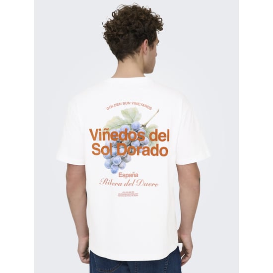 Only & Sons Onsfred life rlx ss print tee noos - Image 2