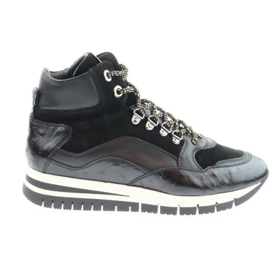 DL Sport 6033 - Image 1
