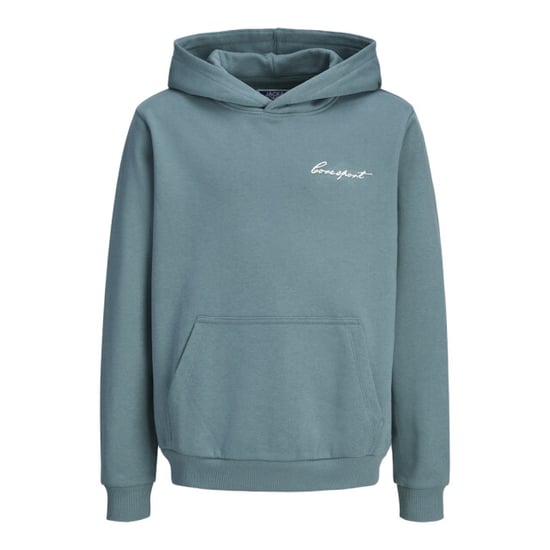 Jack & Jones Jcodust script sweat hood sa26 jnr oud - Image 1