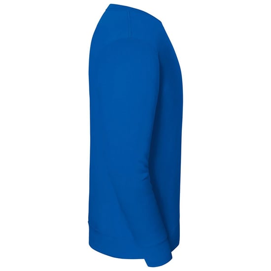 Fruit of the Loom Mens Iconic Premium Set-in Sweatshirt (Royal Blue) - Image 3