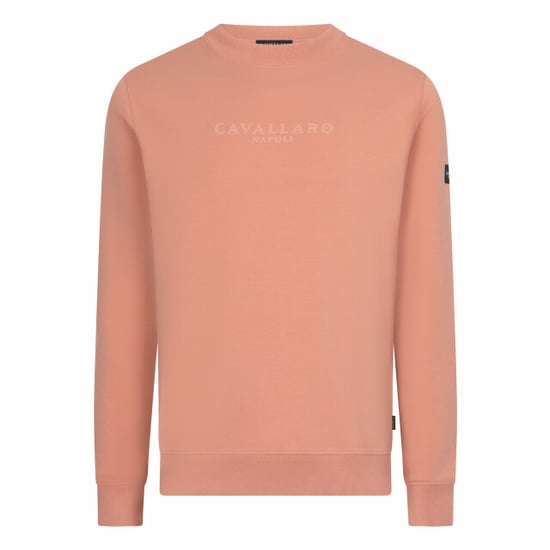 Cavallaro Cavallaro sweater - Image 1