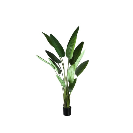 PTMD kunstplant leaves - 110x63x235cm - Image 1