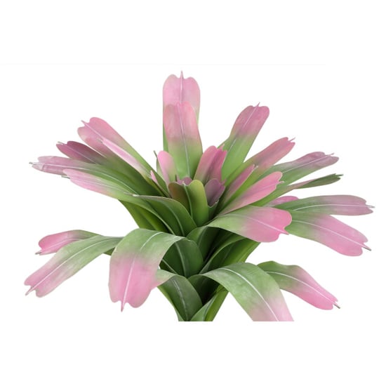 PTMD kunstplant succulent - 70x70x60cm - Image 1