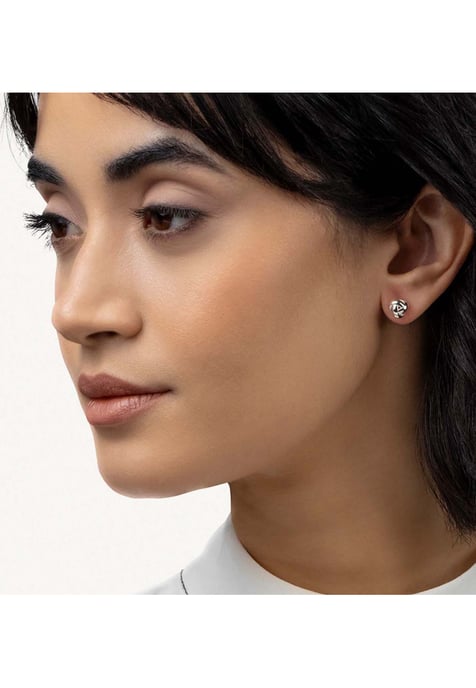 Radley RYJ1613 Ladies Mallow Street Earrings - Image 3