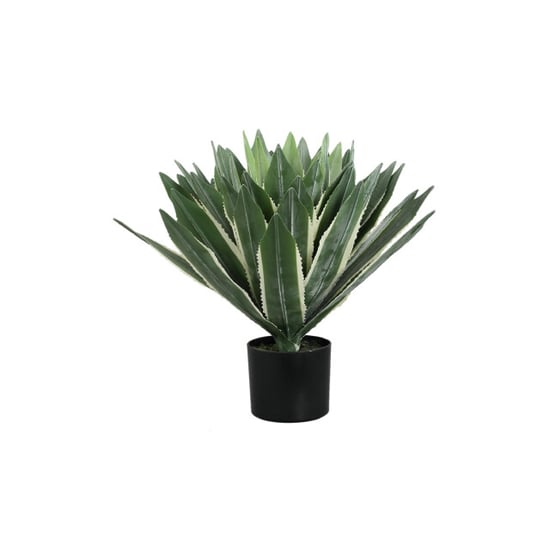 PTMD kunstplant succulent - 70x70x50cm - Image 1