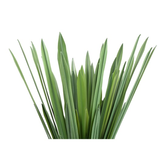 PTMD kunstplant leaves - 62x62x52cm - Image 2