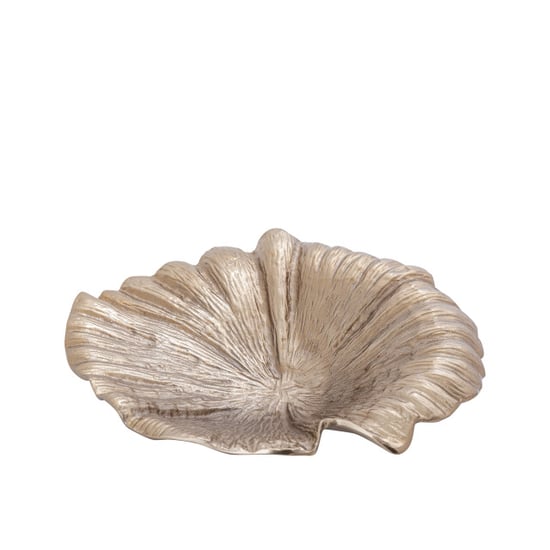 PTMD schaal losh - 42x40x9cm - Image 3