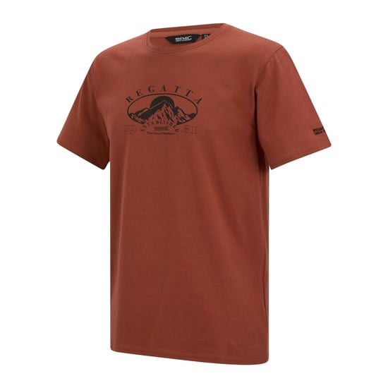 Regatta Heren Cline IX Mountain T-Shirt (Baksteen Rood) - Image 3