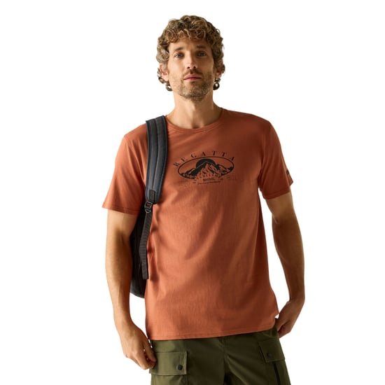 Regatta Heren Cline IX Mountain T-Shirt (Baksteen Rood) - Image 4