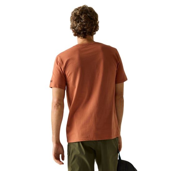 Regatta Heren Cline IX Mountain T-Shirt (Baksteen Rood) - Image 5