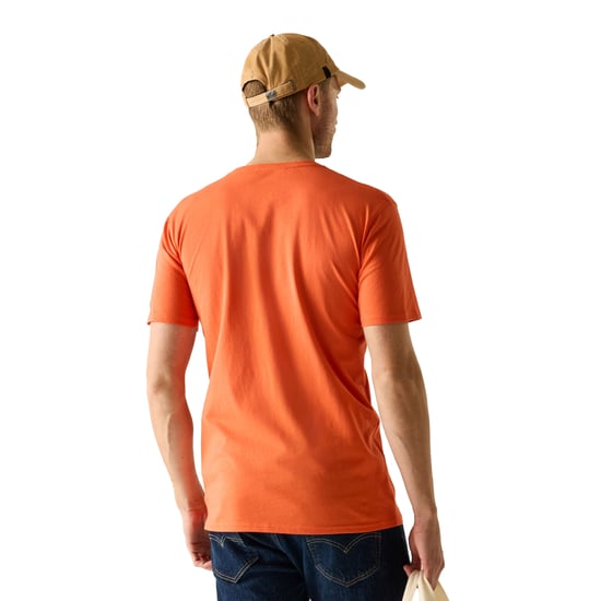 Regatta Heren Cline IX Strand T-Shirt (Tijgerlelie Oranje) - Image 4