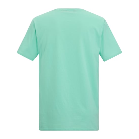 Regatta Heren Cline IX Sea Wave T-Shirt (Ijsgroen) - Image 2
