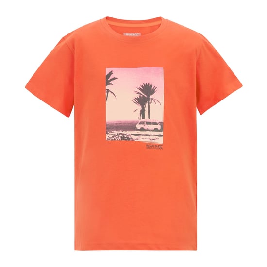 Regatta Childrens/Kids Bosley Palm Tree T-Shirt (Rusty Orange) - Image 1