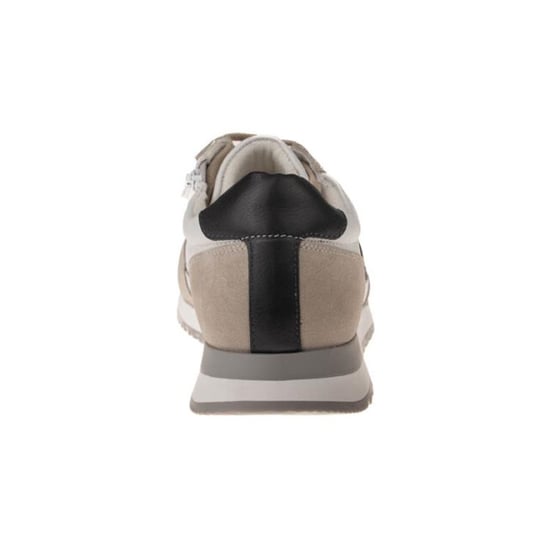 Ara 11-26904 gino - Image 6
