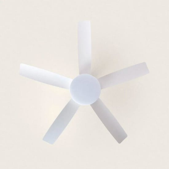 Cool Breeze Plafondventilator matilda met verlichting Ø106cm 6 snelheden afstandsbediening - - Image 2