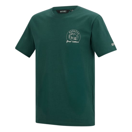 Regatta Heren Cline IX Sunrise T-Shirt (Mediterraan groen) - Image 3