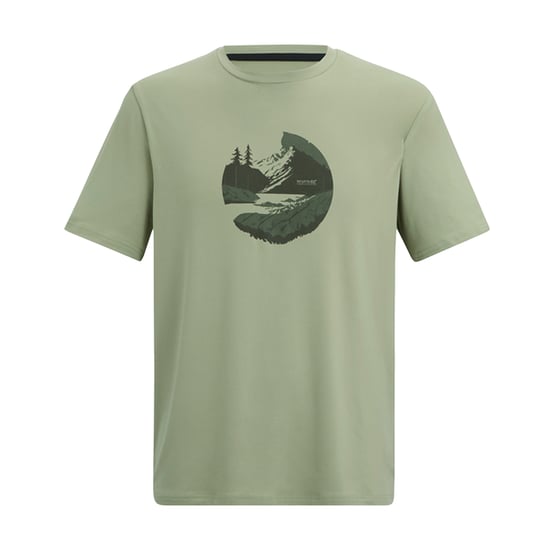 Regatta Heren Fingal Mountain T-Shirt (Lichte Salie) - Image 1