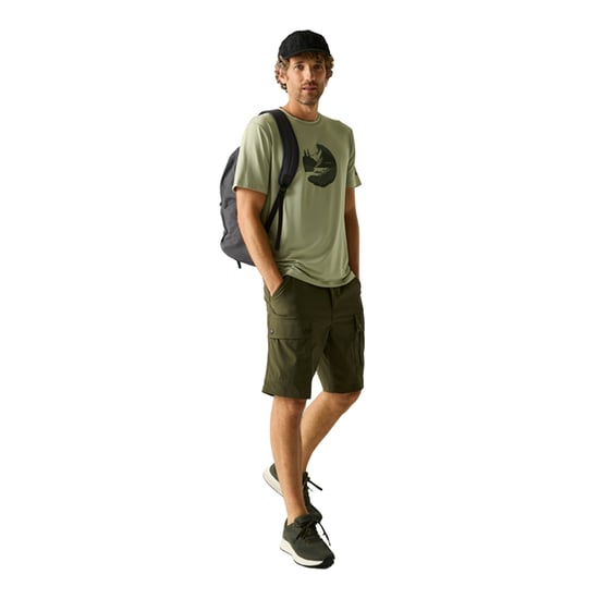Regatta Heren Fingal Mountain T-Shirt (Lichte Salie) - Image 4