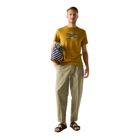 Regatta Mens Breezed Landscape T-Shirt (Wood Brown) - Image 4