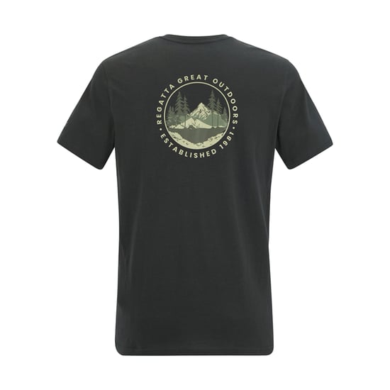 Regatta Mens Breezed Circle Mountain T-Shirt (Ash) - Image 2