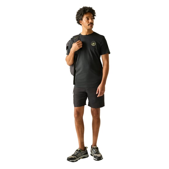 Regatta Mens Breezed Circle Mountain T-Shirt (Ash) - Image 4