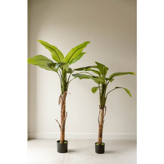 Indore Home Indore silva kunstplant banaan 120cm - Image 2