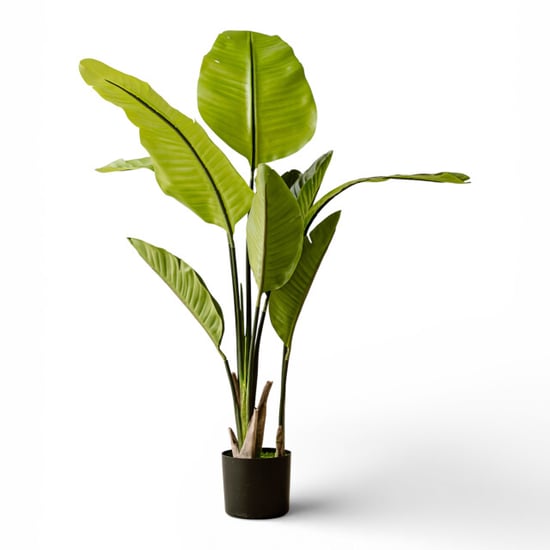 Indore Home Indore silva kunstplant strelitzia 120cm - Image 1