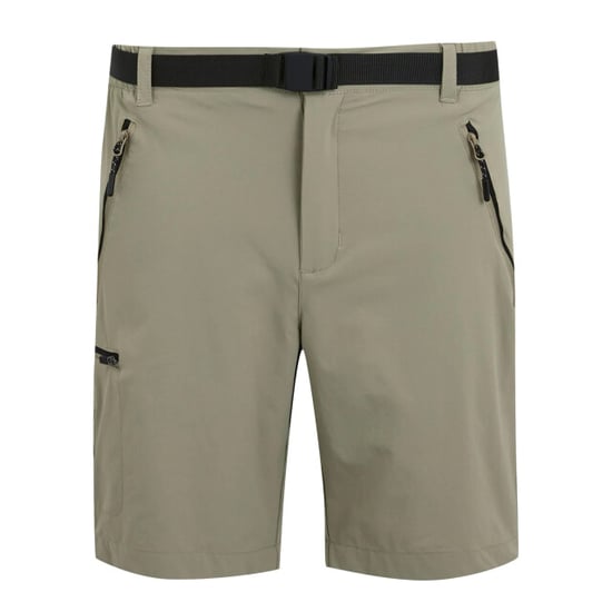 Regatta Heren xert iii stretch shorts - Image 1