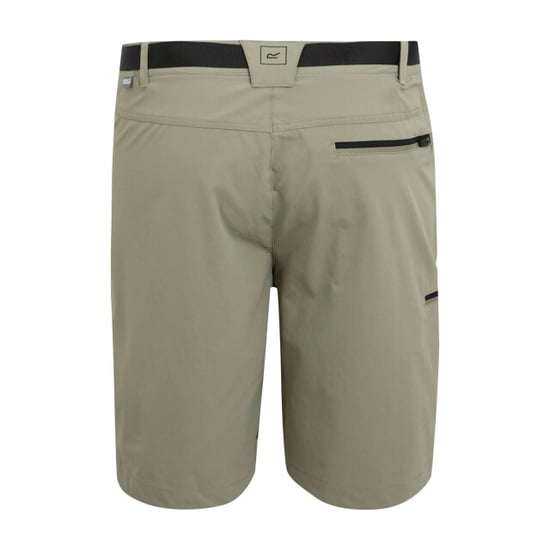 Regatta Heren xert iii stretch shorts - Image 3