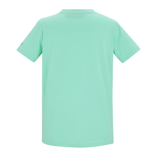 Regatta Dames Filandra VX Sunset Paddleboard T-shirt (IJs Groen) - Image 2