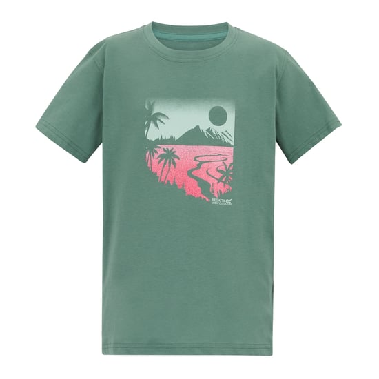 Regatta Childrens/Kids Bosley Artwork T-Shirt (Ivy Moss) - Image 1