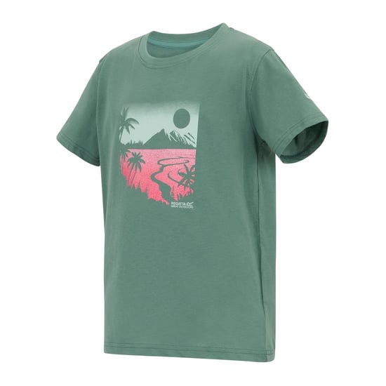 Regatta Childrens/Kids Bosley Artwork T-Shirt (Ivy Moss) - Image 3