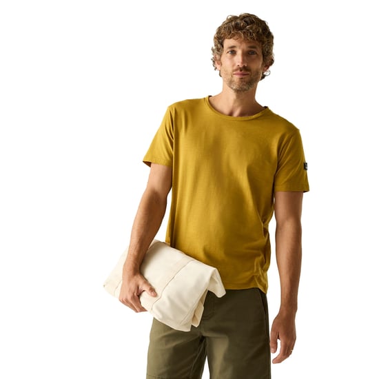 Regatta Heren Finlo Logo T-Shirt (Houtbruin) - Image 4