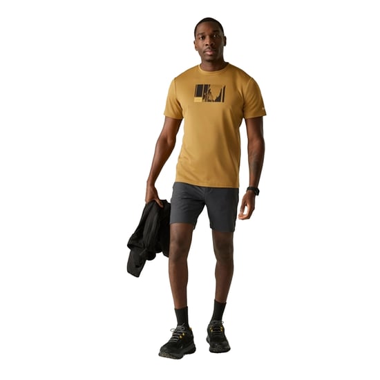 Regatta Heren Fingal Bergbeklimming T-Shirt (Hout Bruin) - Image 4