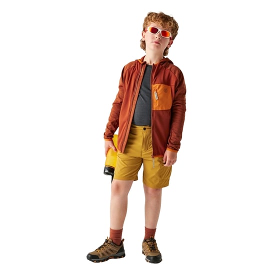Dare 2B Expeditie Stretch Midlayer Kinderen/Kinderen (Arabische kruiden) - Image 4