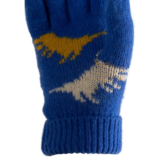 Trespass Kinder/Kids Casper Handschoenen (Blauw) - Image 4