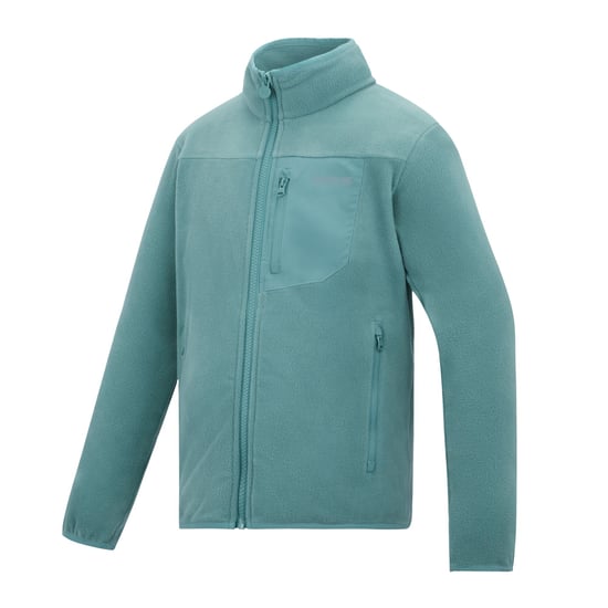 Regatta Kinder/Kids Frankie Full Zip Fleecejack (Ivy Mos) - Image 3